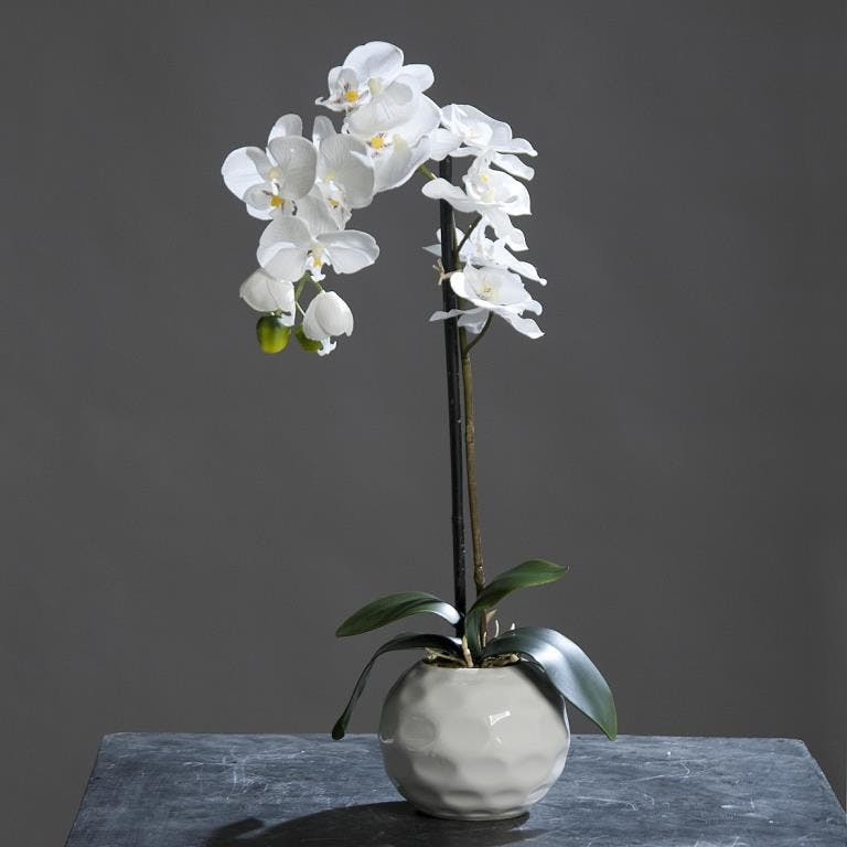 Fleur ORCHIDEE blanche en pot blanc 46cm