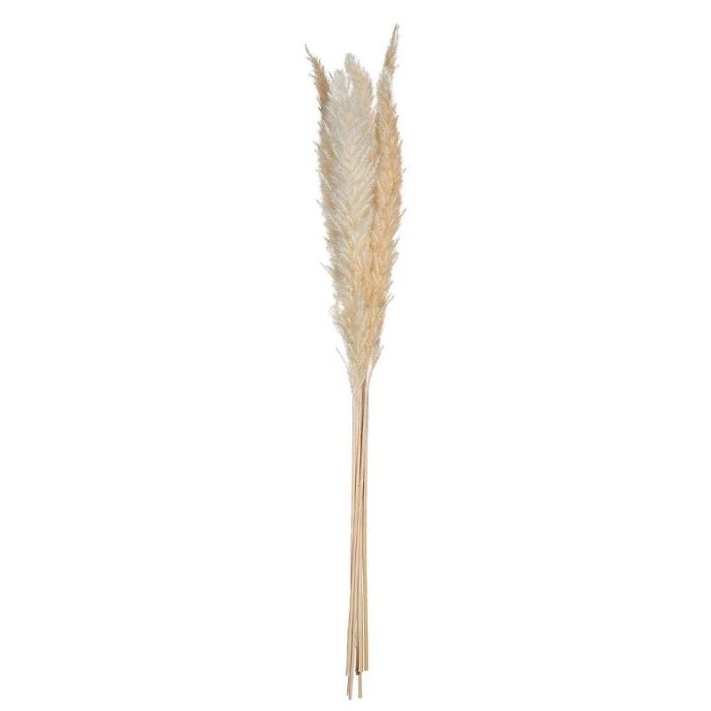 Fleurs artificielles pampa H 65 cm