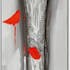 FLEURS Peinture Coquelicots vertical Rouge Acryl. 25x150