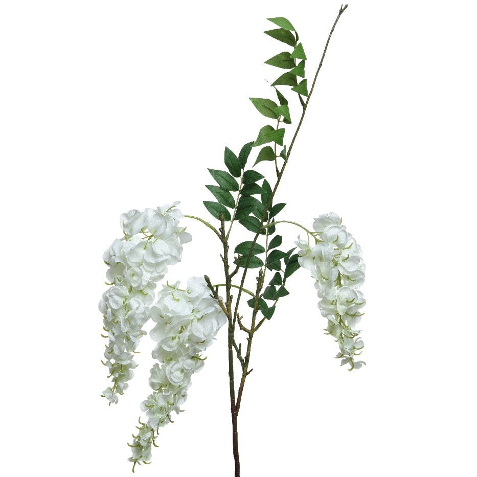 Glycine artificielle couleur blanche