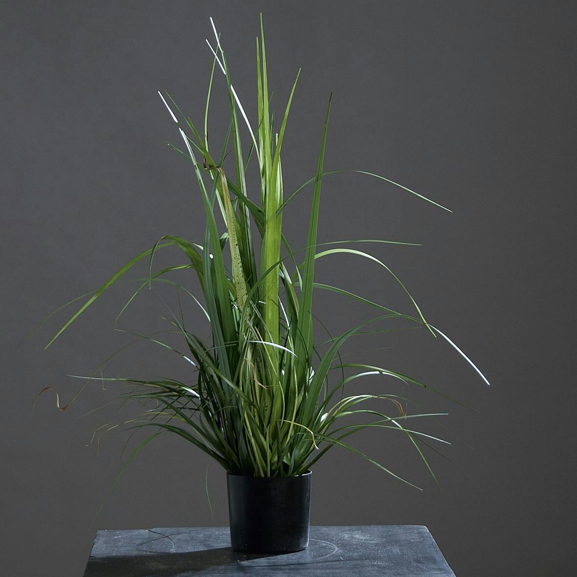 Herbe arrangée en pot noir 80CM