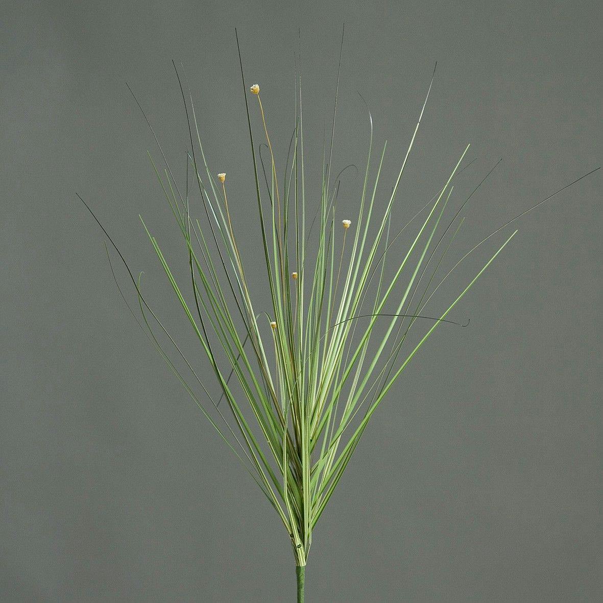 Herbe avec pot
