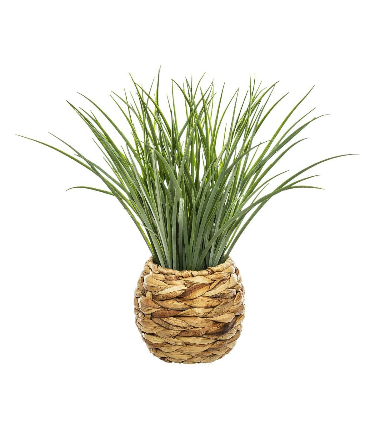 Herbe dans pot en jacinthe tressée