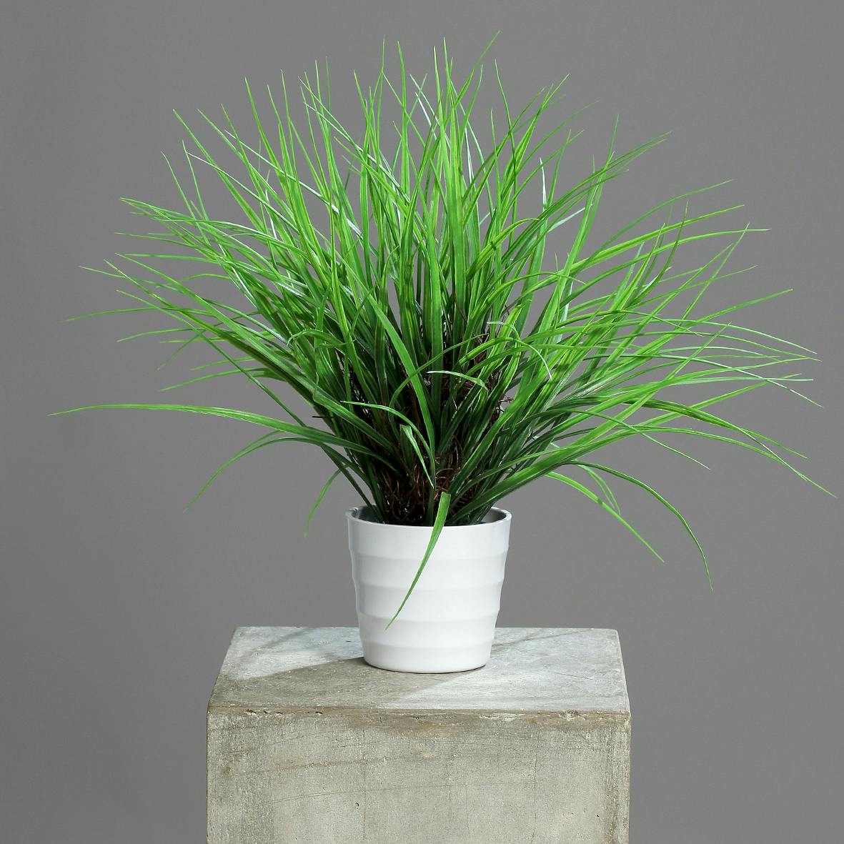 Herbe en pot blanc 40CM