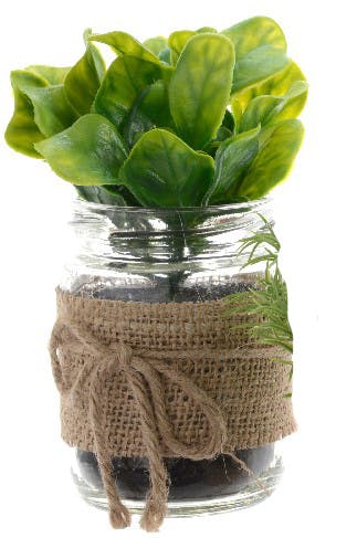 Herbe pot jute M1