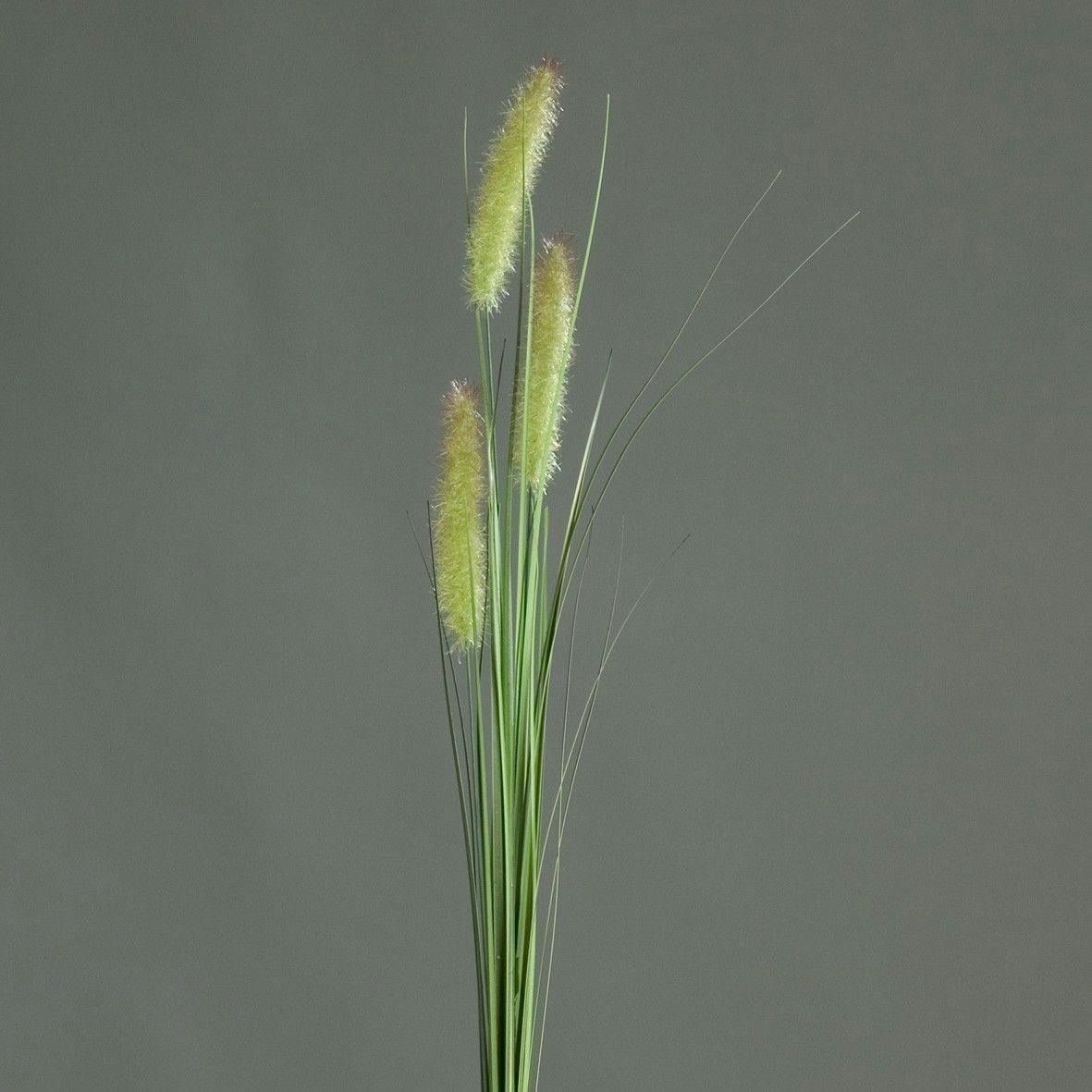 Herbe verte
