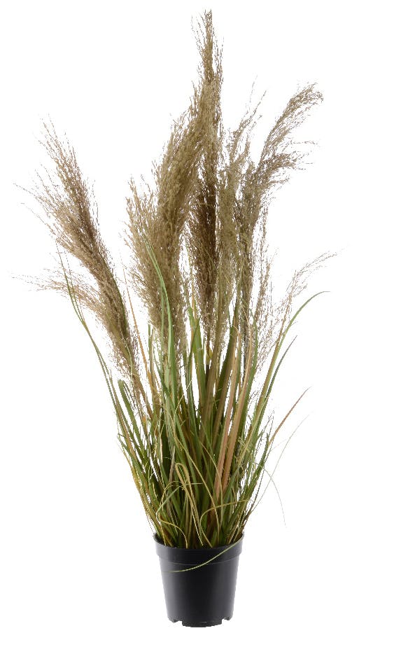 Herbes en pot plumes couleur naturelle H115cm