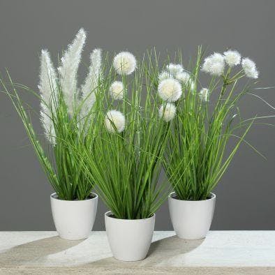 Herbes vertes et fleurs crèmes dans leur pot blanc, 38cm (à l'unité)