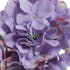 Hortensia artificiel sur tige, couleur lilas