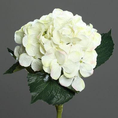 Hortensia blanc, 47cm
