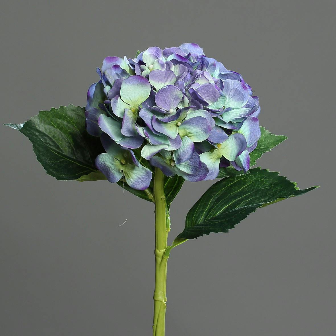 Hortensia Bleu 47CM
