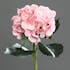 Hortensia Rose 47CM
