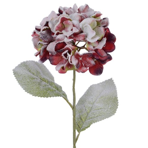 Fleur artificielle hydrangea rouge enneigée H66cm