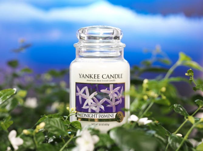 Jasmin De Minuit bougie parfumée votive YANKEE CANDLE