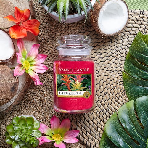 Jungle Tropical bougie parfumée moyenne jarre YANKEE CANDLE