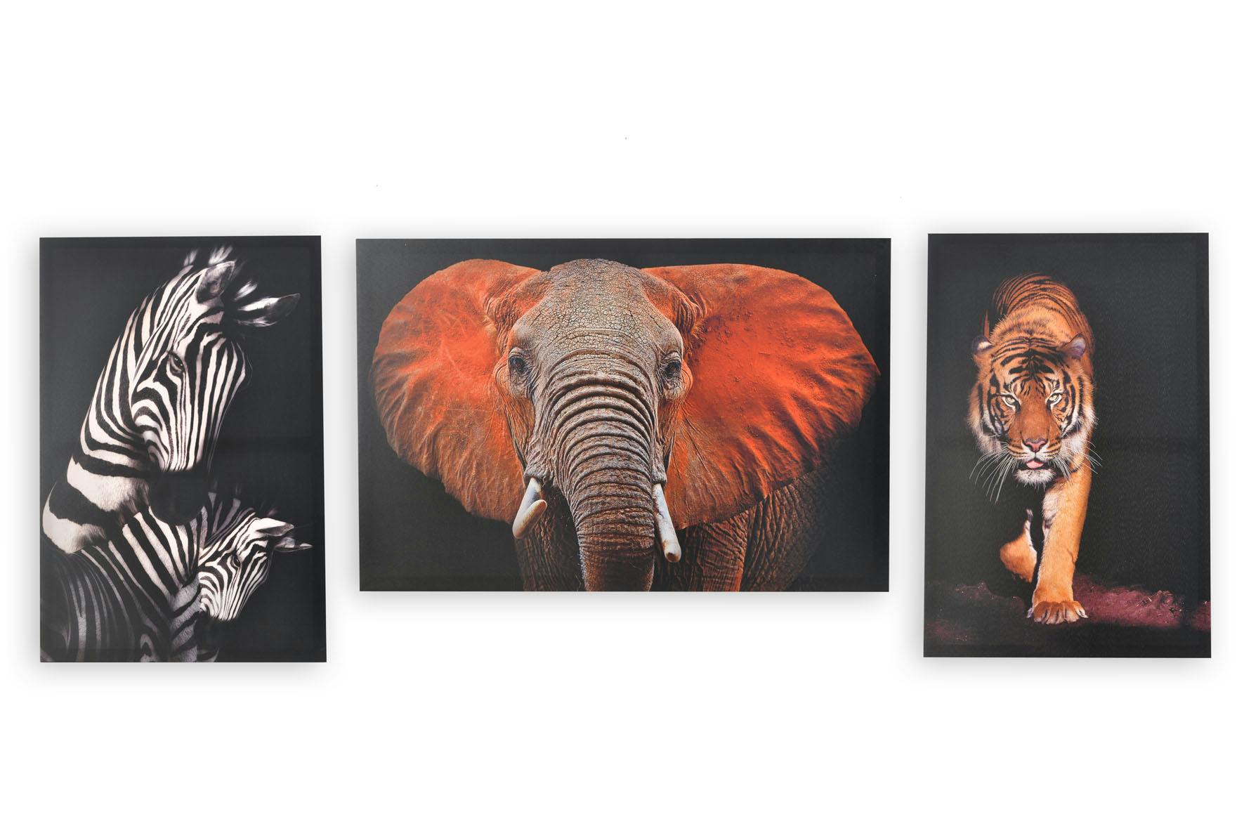 Lot de 3 photoprint animal sauvage sur fond noir 40x60cm