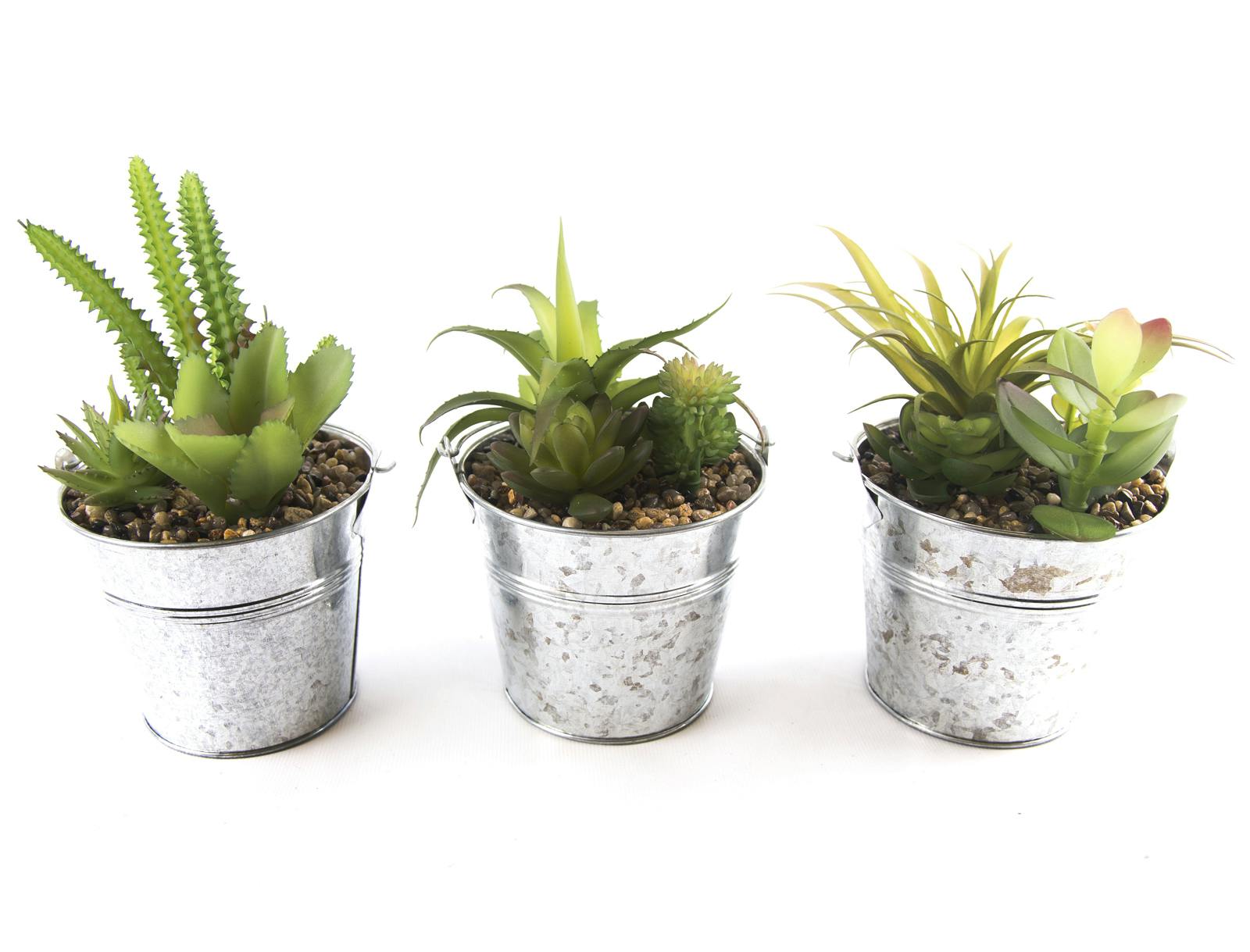 Lot de 3 Succulents en pot en métal H18cm