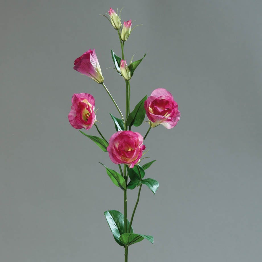 Lysianthus Lavande 83CM