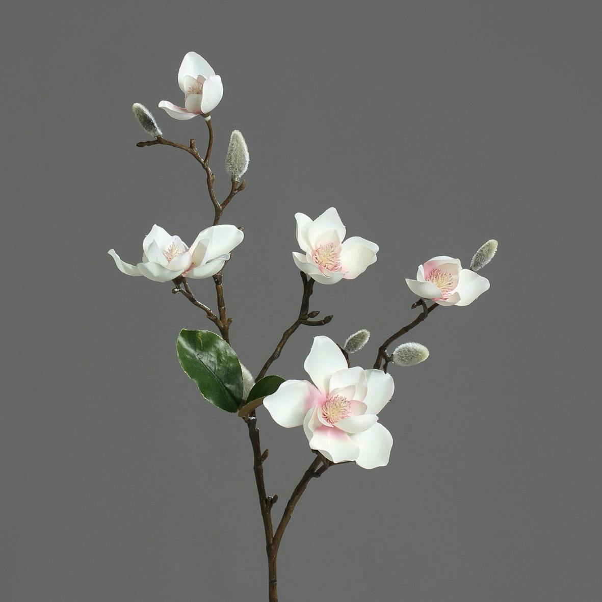 Magnolia Rose Crème 5 fleurs 64CM
