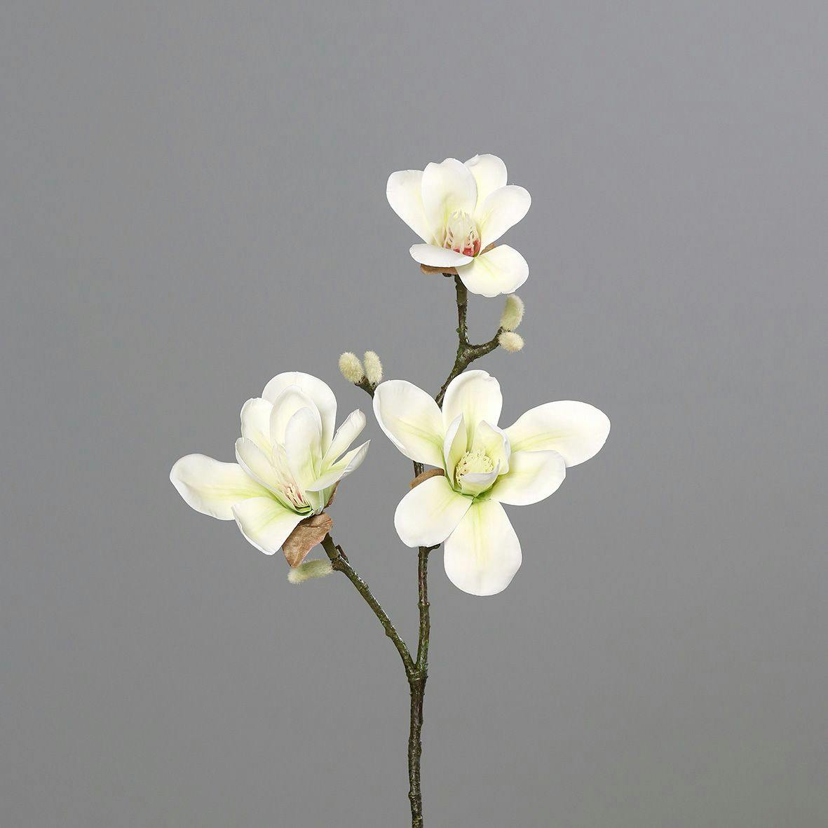 Magnolia tige 3 fleurs couleur crème 40 cm