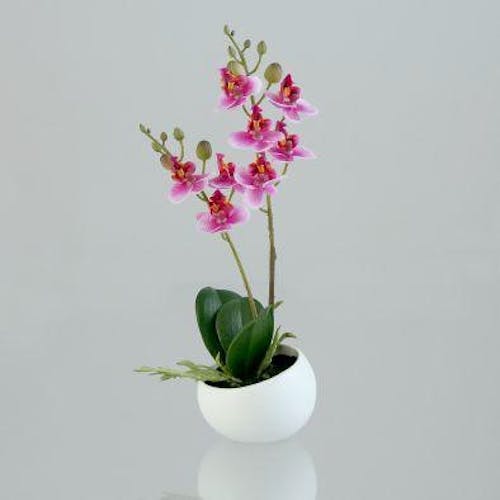 Mini orchidée-phalaenopsis en pot couleur rose et crème, 25cm | Fleurs /  Plantes artificielles | Pier Import