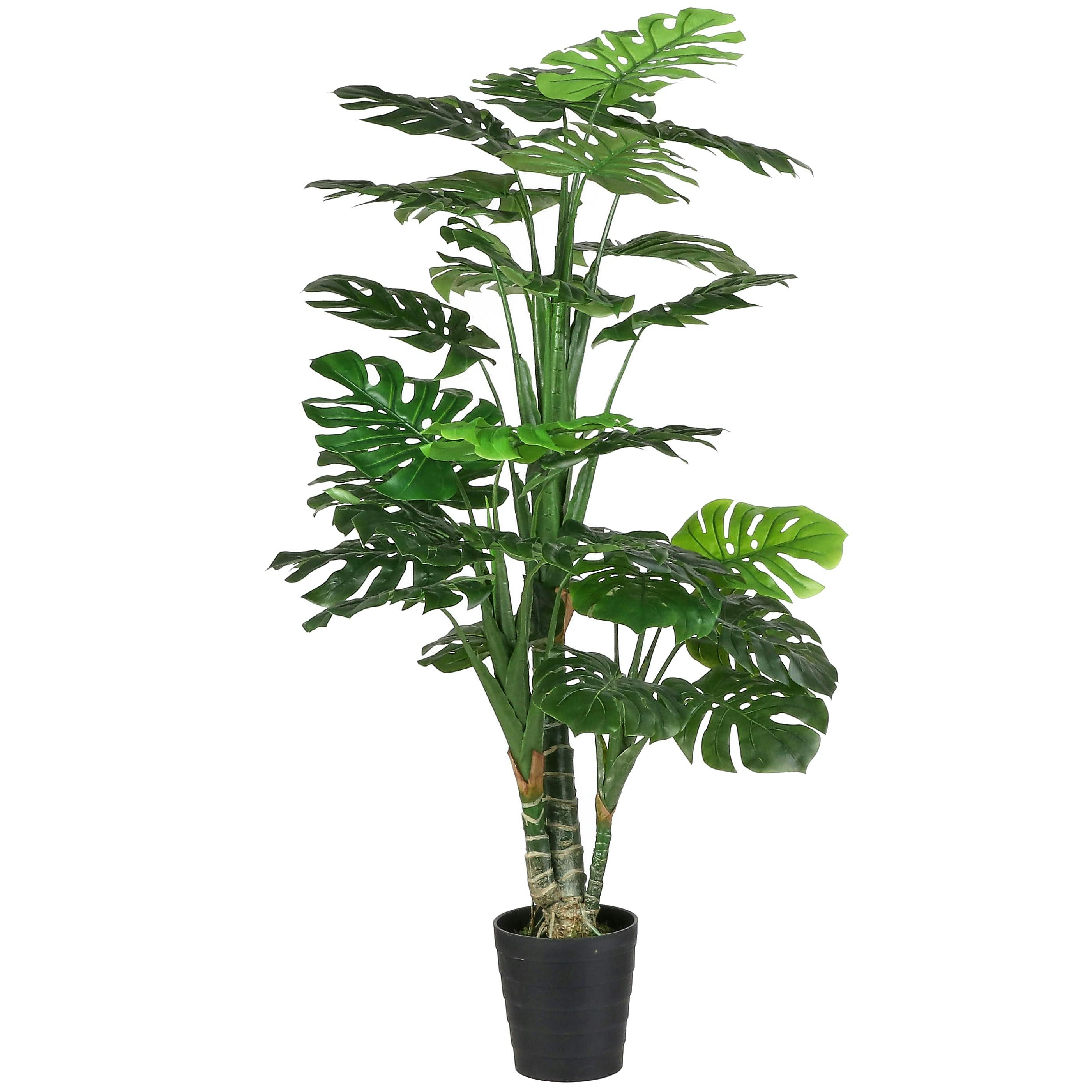 Monstera en pot 160 cm