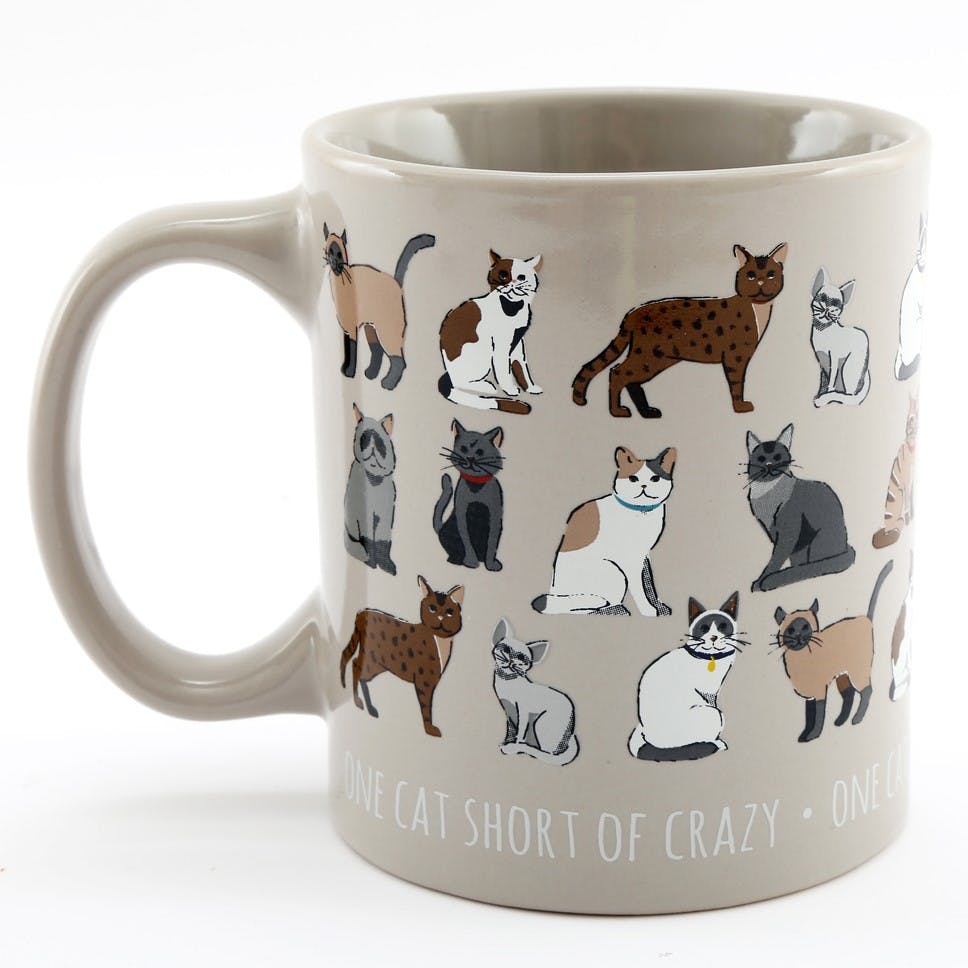 Mug chats