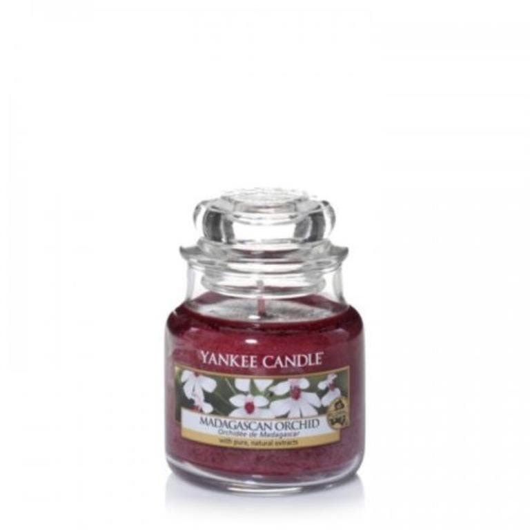 Orchidée de Madagascar bougie parfumée petite jarre YANKEE CANDLE