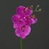 Orchidée-phalaenopsis 4 fleurons couleur pourpre, 46cm