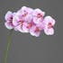 Orchidée-phalaenopsis 7 fleurons couleur lavande, 80cm