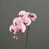 Orchidée rose tige 78 cm
