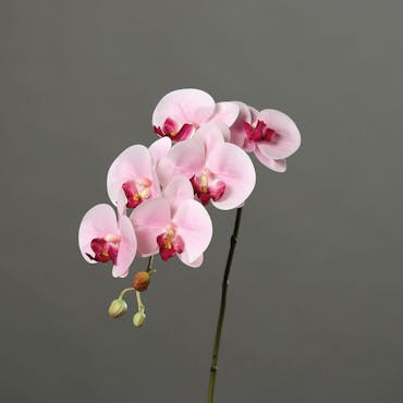  Orchidée rose tige 78 cm