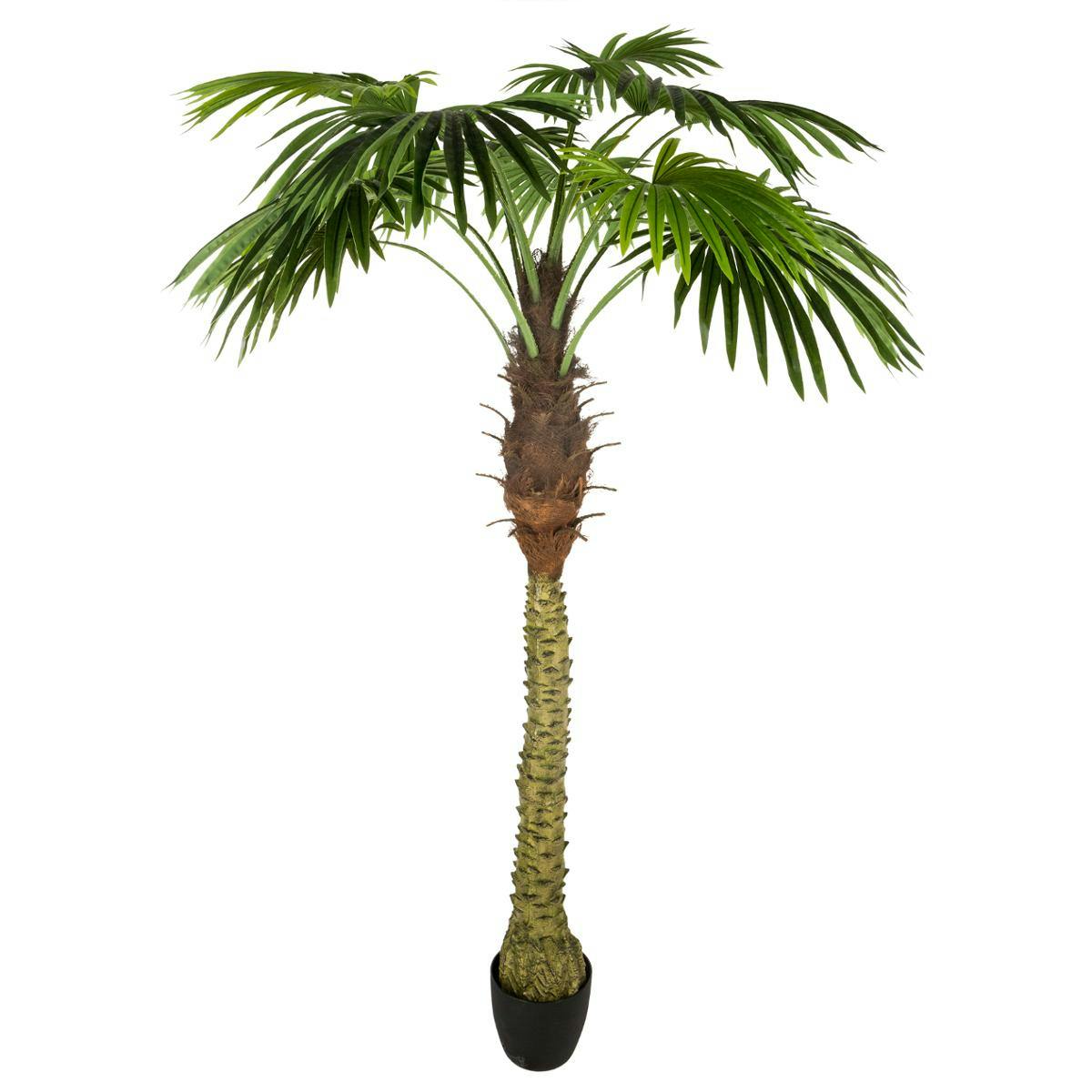 Palmier H180cm