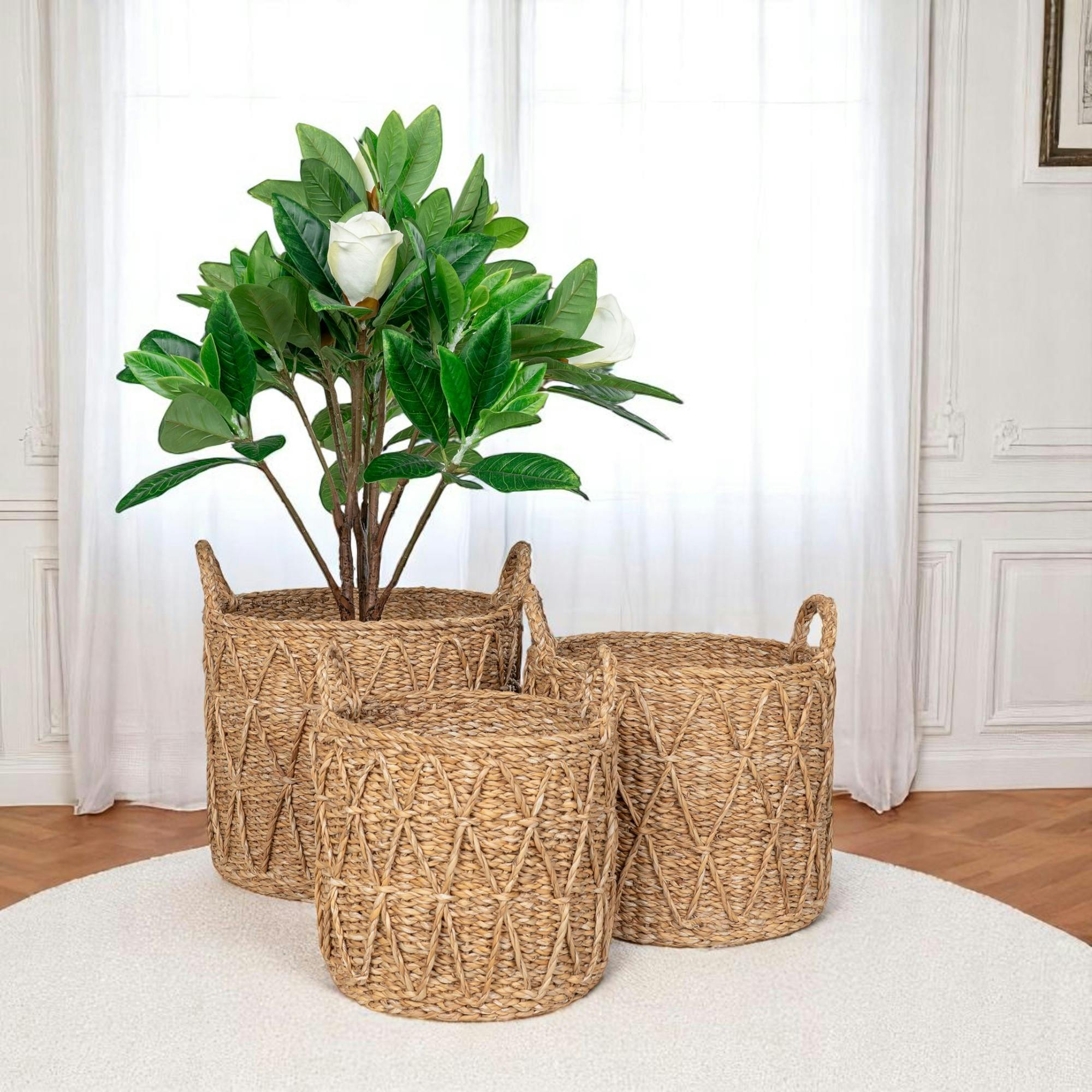 Panier cache-pot en jonc de mer avec motif losange (lot de 3)