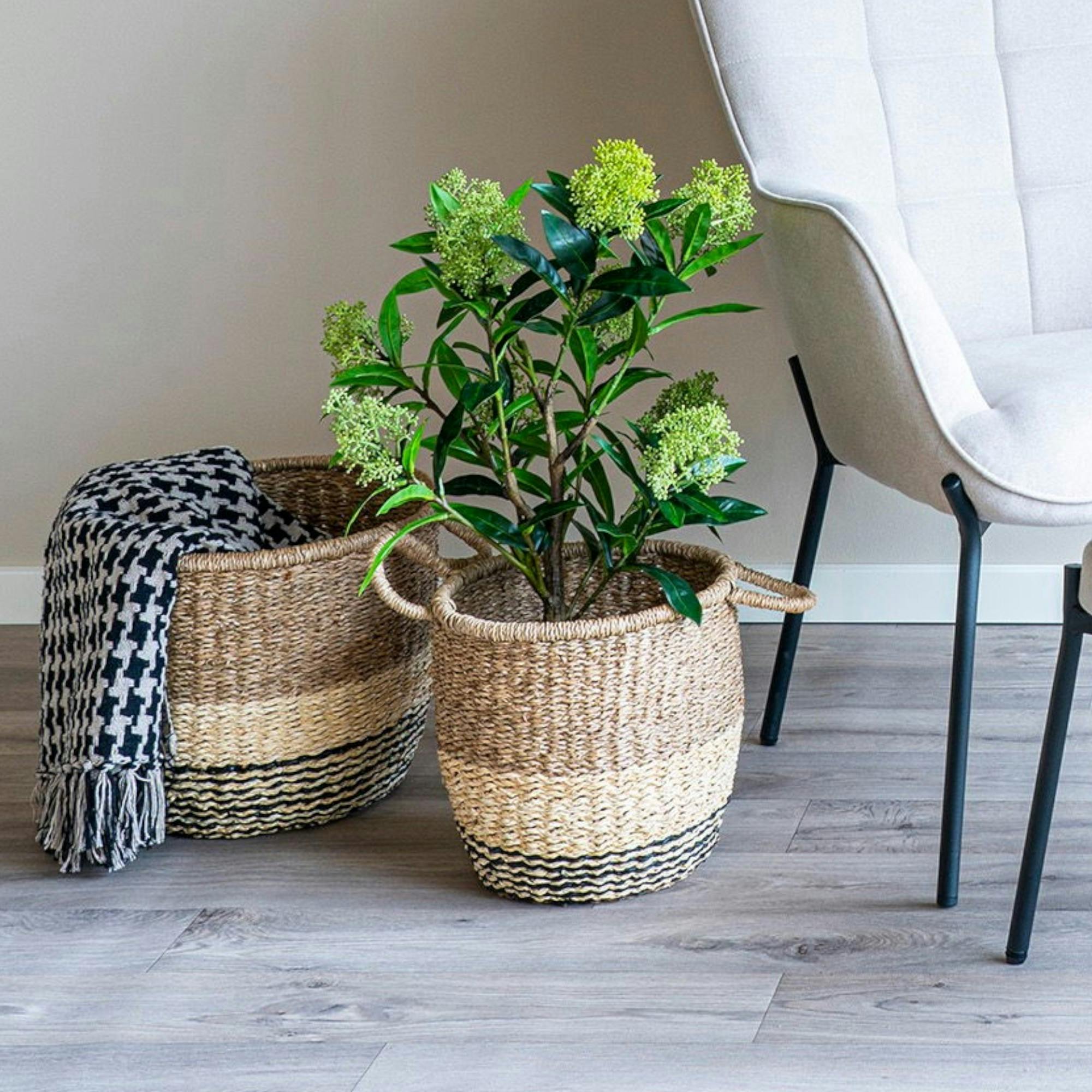 Panier de rangement en jonc de mer 3 couleurs avec poignées (lot de 2)