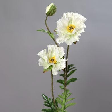 Pavot 2 fleurs et 1 bouton couleur crème, 72cm