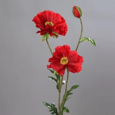 Pavot 2 fleurs et 1 bouton couleur rouge, 72cm