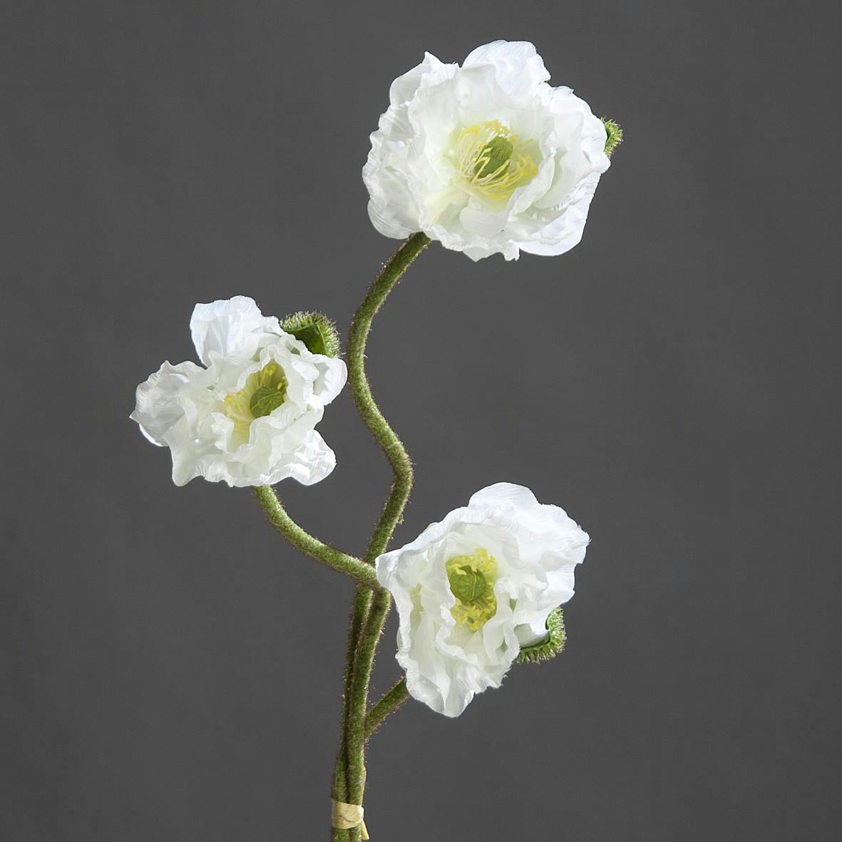 Pavot 3 fleurs Crème 72CM