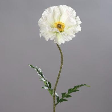 Pavot couleur crème, 68cm
