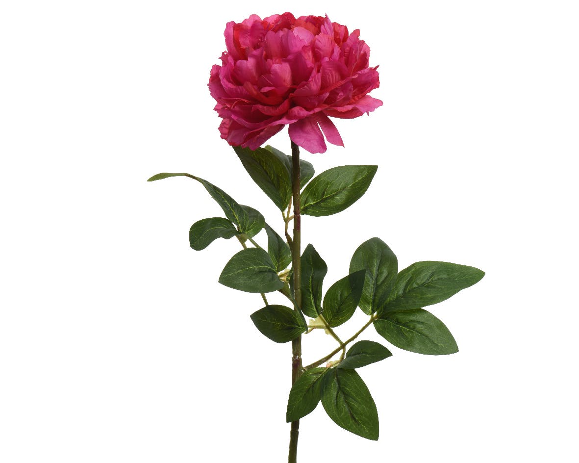 Pivoine artificielle, couleur fuchsia