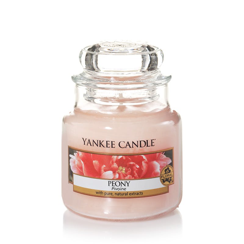 Pivoine bougie parfumée petite jarre YANKEE CANDLE