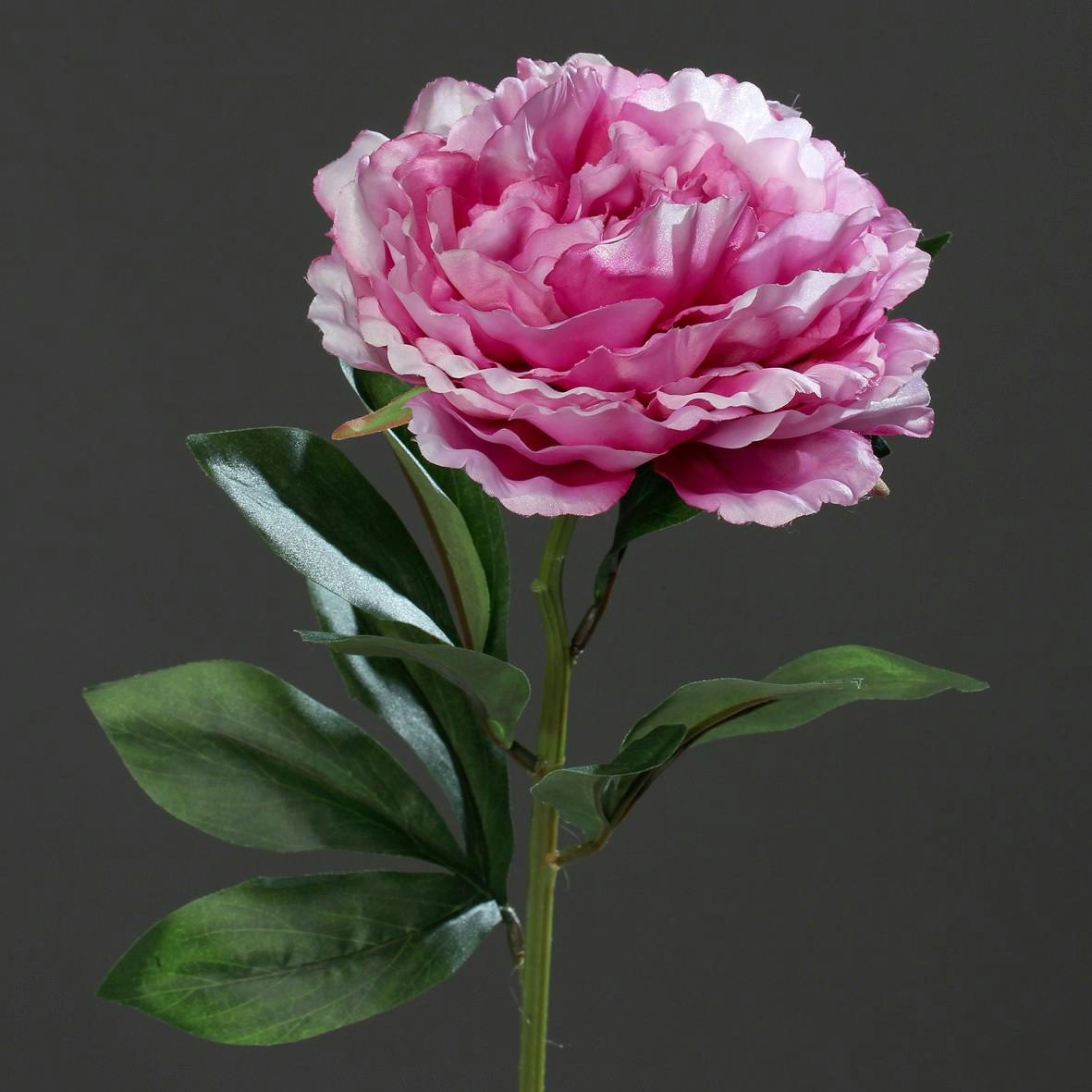 Pivoine Lavande 63CM