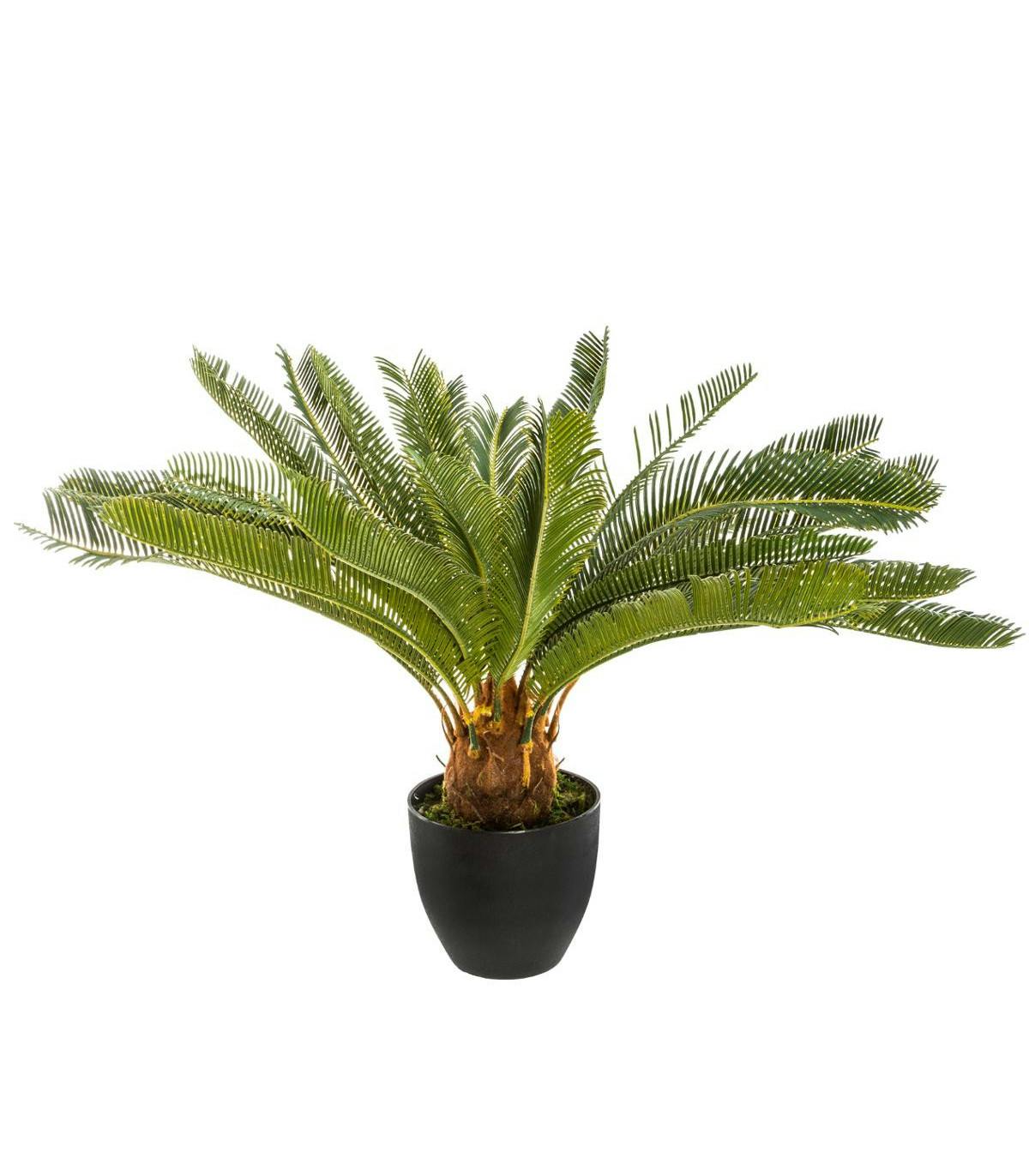 Plante ananas en pot 72 cm