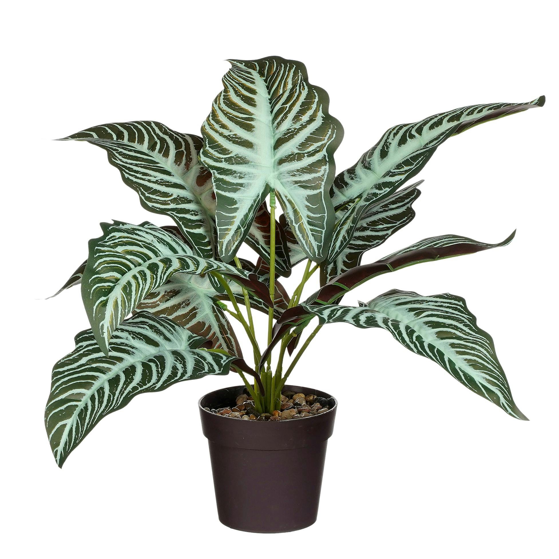 Plante artificielle, Alocasia vert, 40 cm