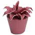 Plante artificielle couleur prune en pot 14 cm