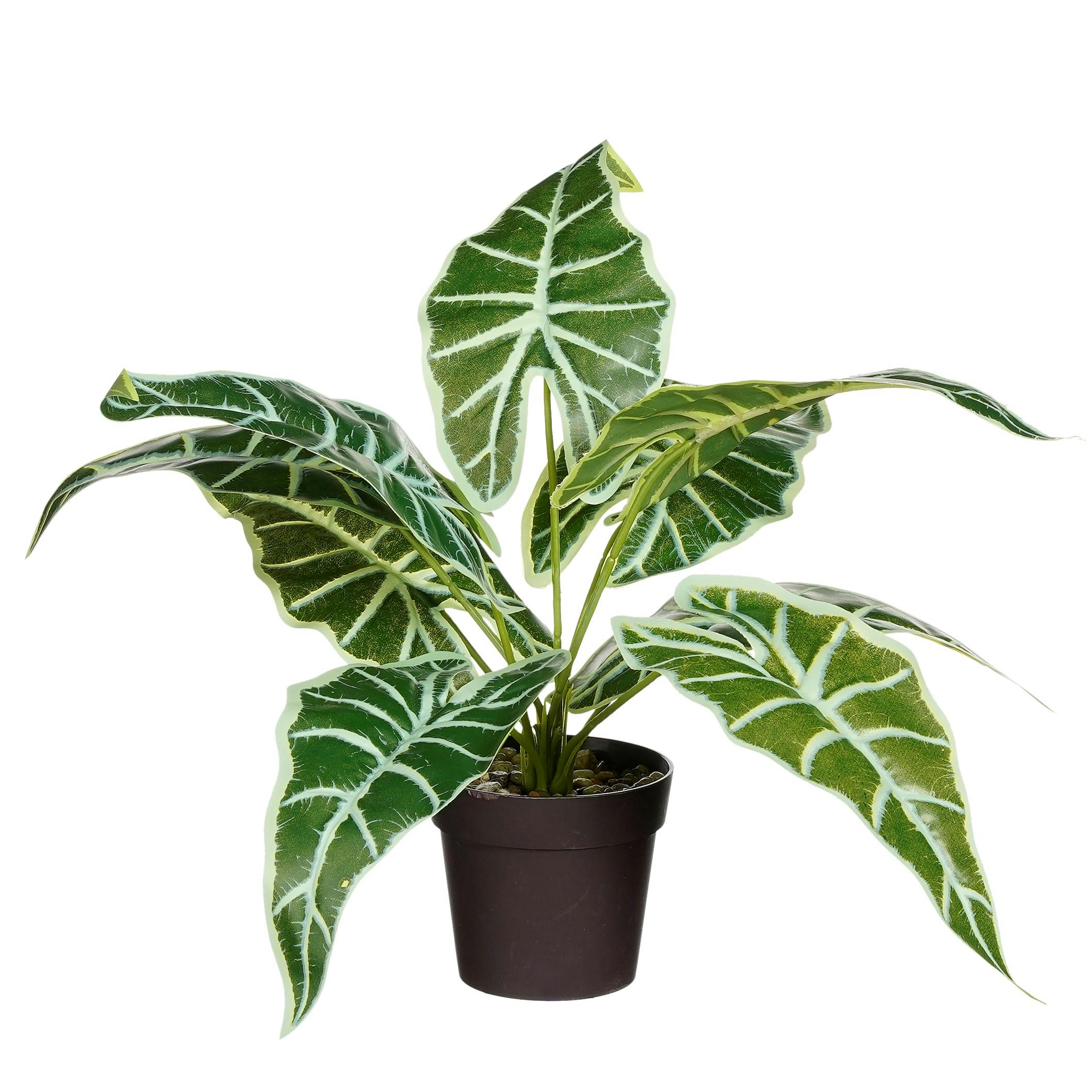 Plante artificielle en pot, Alocasia vert foncé, 40 cm