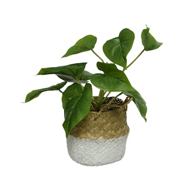 Plante artificielle en pot tressé