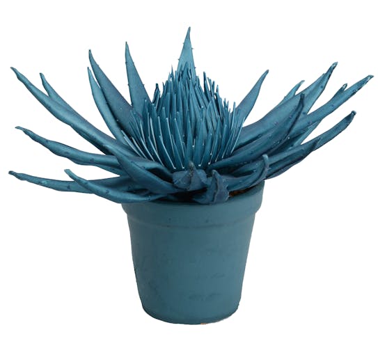 Plante artificielle exotique bleue en pot 33 cm