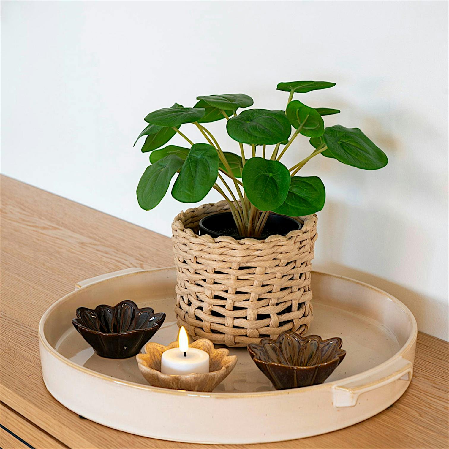 Plante artificielle pelia en pot