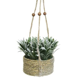 Plante enneigée dans pot corde à suspendre